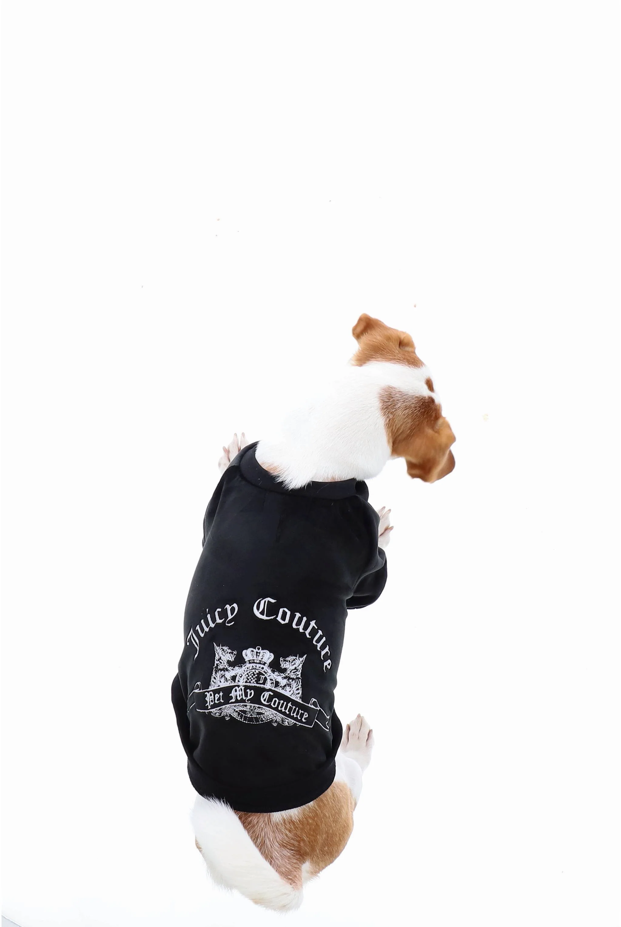BLACK CREST EMBROIDERED DOG SWEATER - Image 6